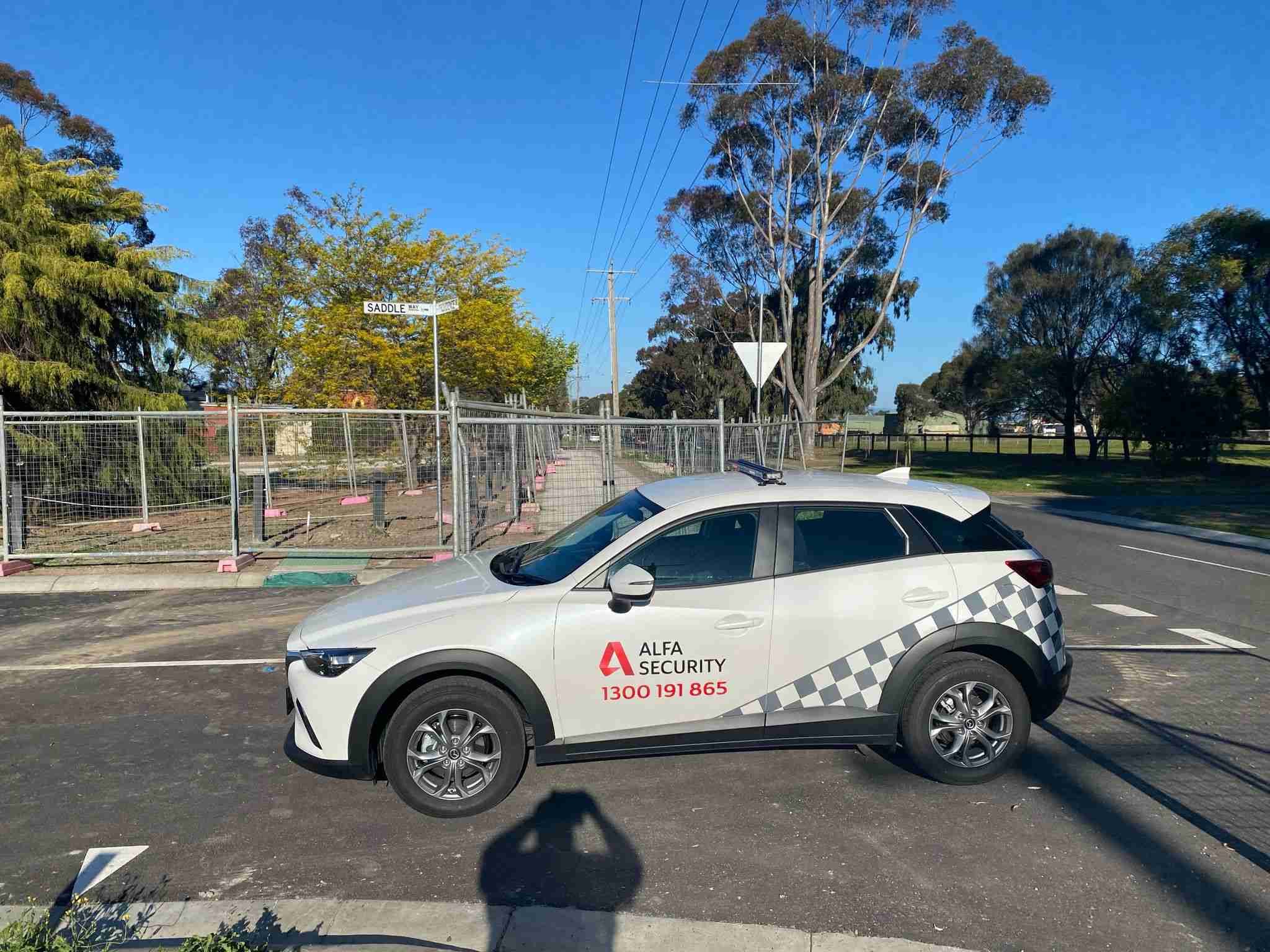 alfa security services